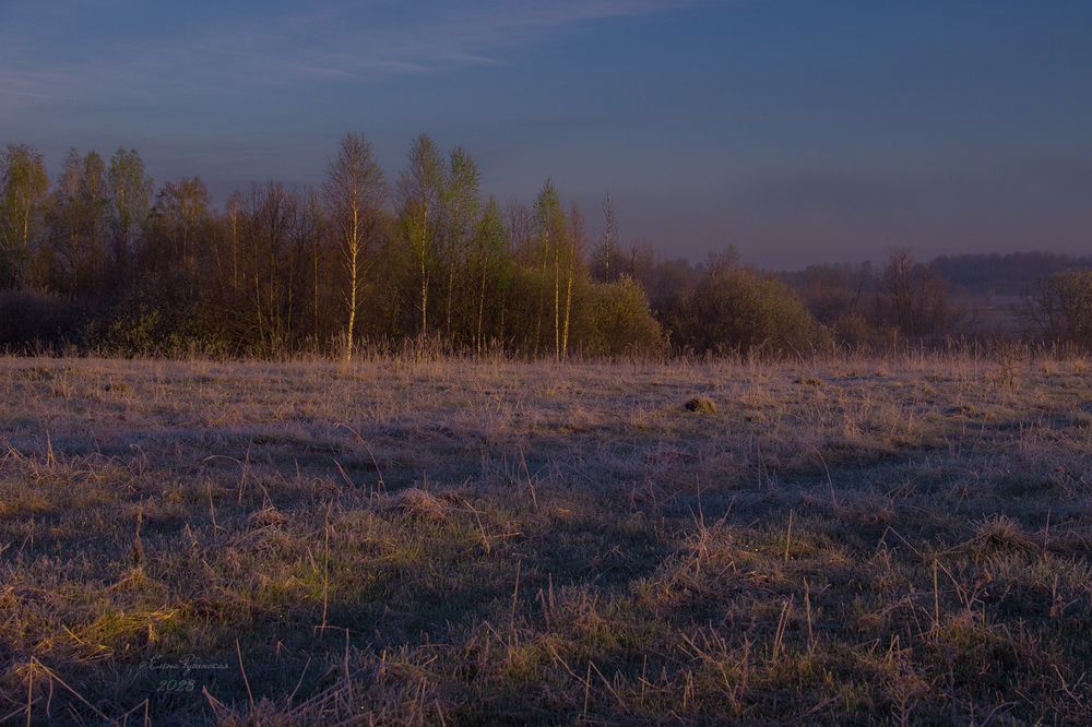 Photo 2416993