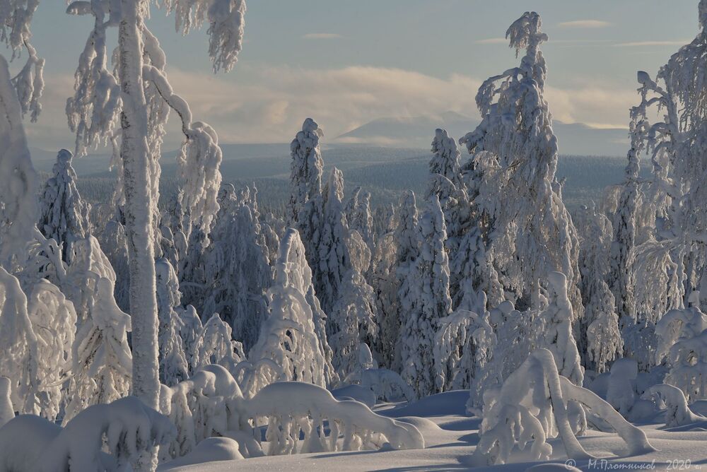 Photo 2417371