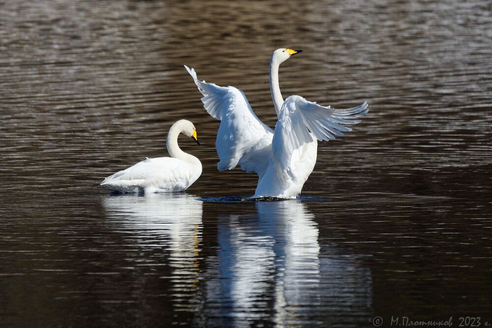 Photo 2417377