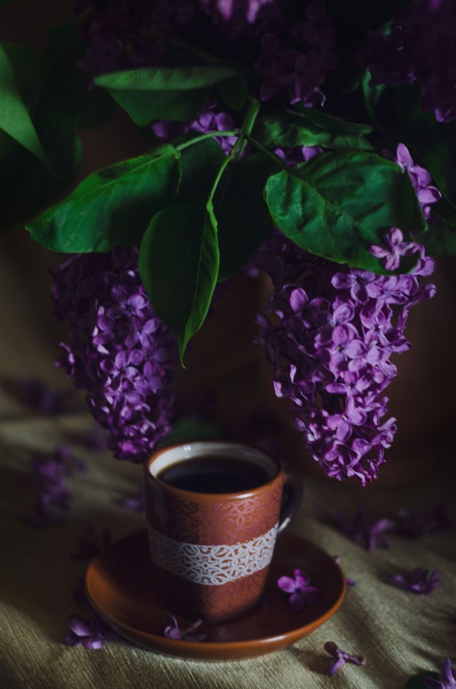 Кофе с ароматом сирени