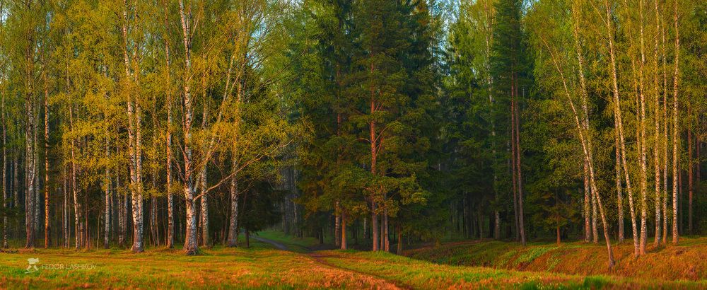 Майские картины