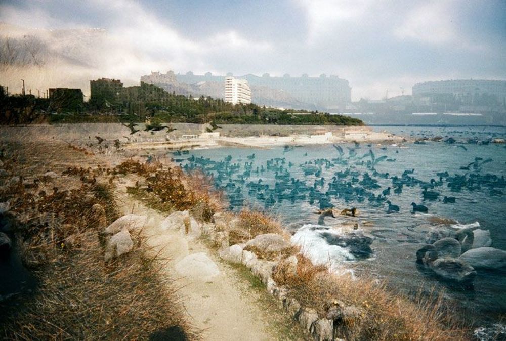 Photo 242566