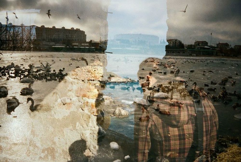 Photo 242568