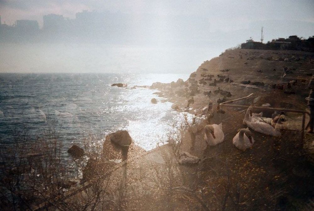 Photo 242572