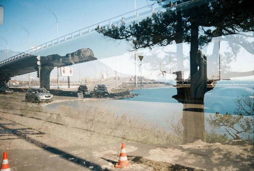 Photo 242576