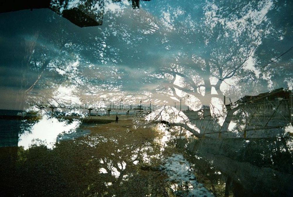 Photo 242582