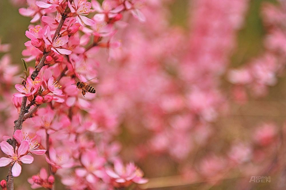Photo 2420285
