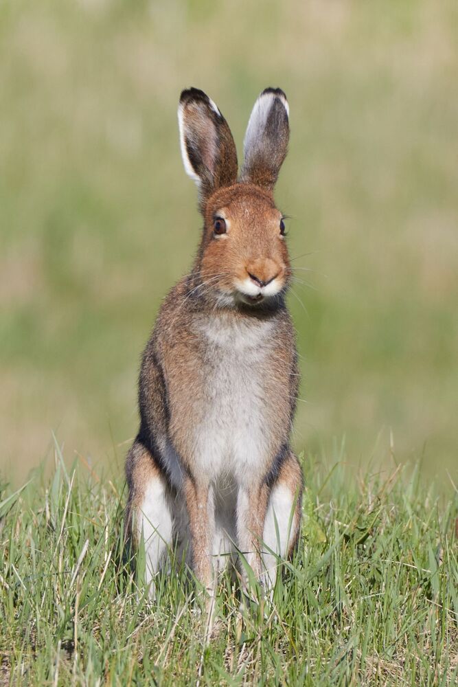 Photo 2420559