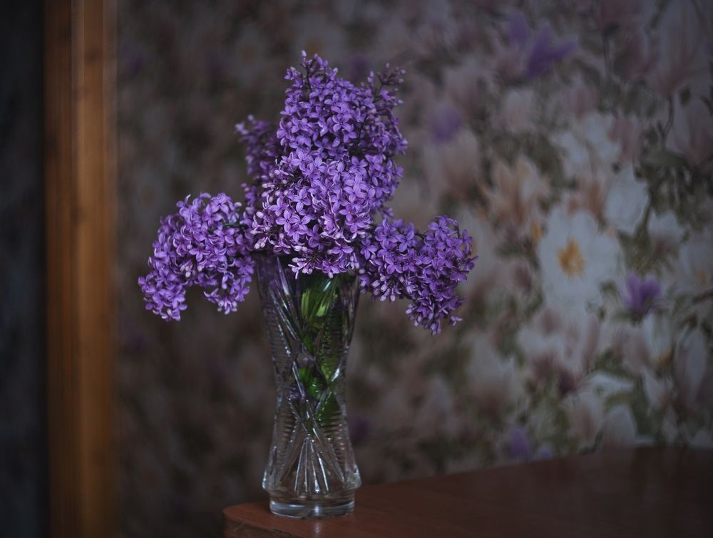 Сирень.