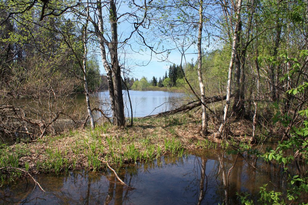 Photo 2421193