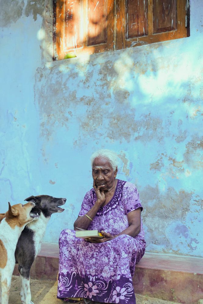 A day in a life of a pure soul