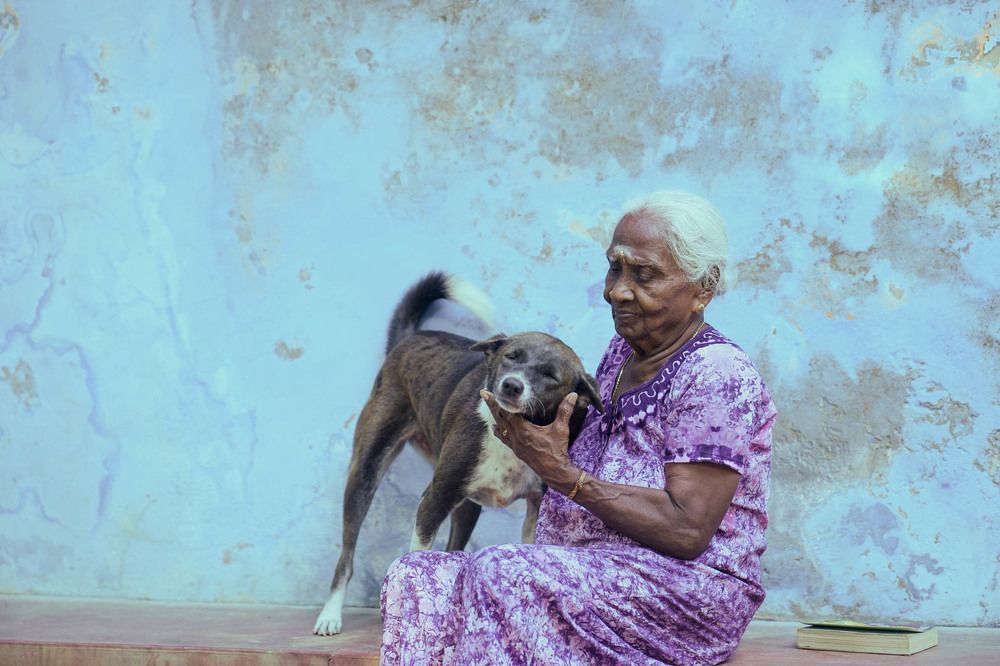 A day in a life of a pure soul