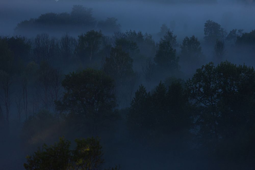ISO 400, f/4, 10 sec