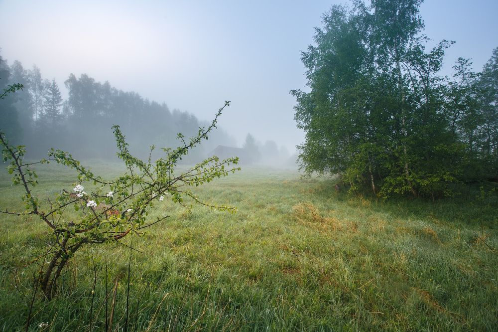 май, Смоленская обл., Торбеево