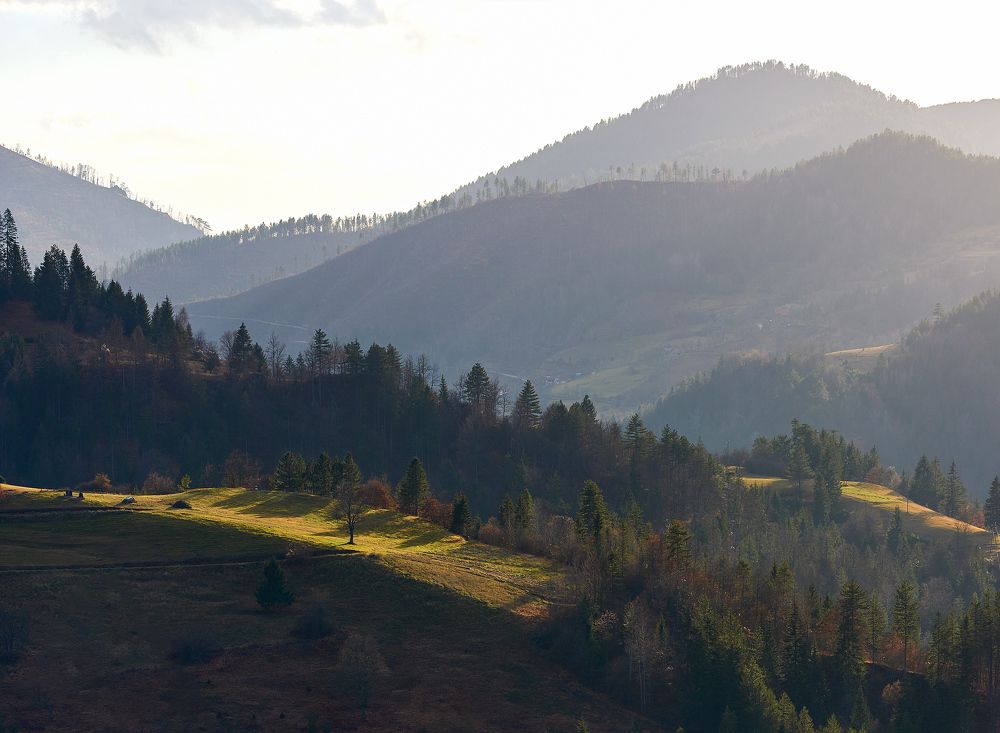 Заовине, Сербия