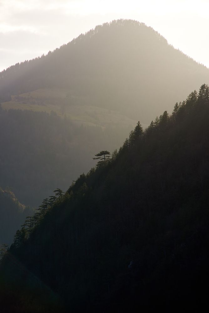 Заовине, Сербия