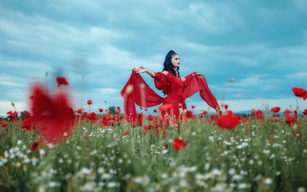 he Red Dress Chronicles: Fields of Desire.