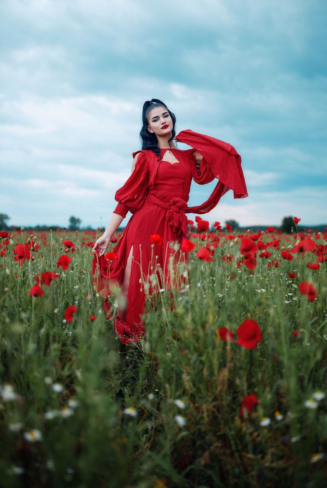 he Red Dress Chronicles: Fields of Desire.