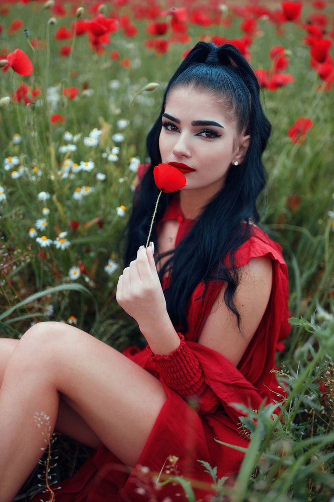 he Red Dress Chronicles: Fields of Desire.