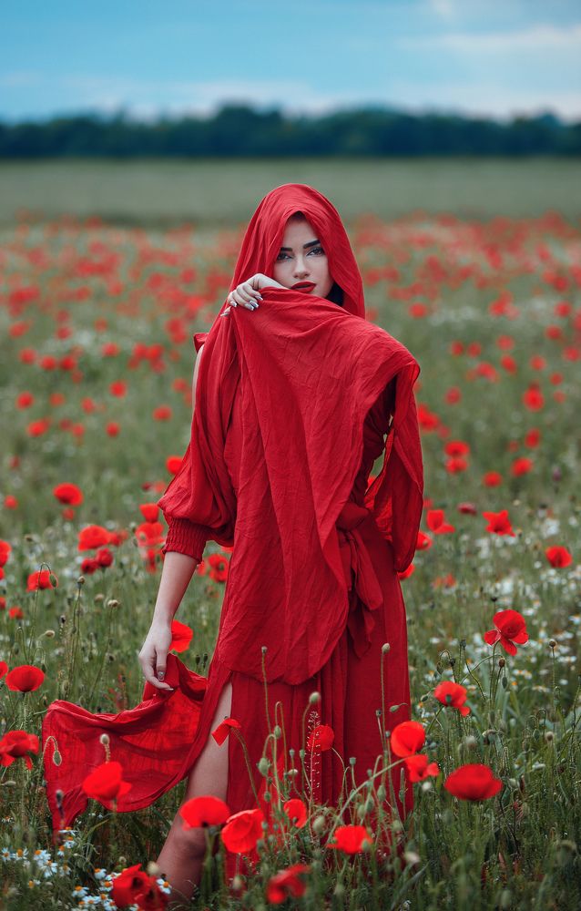 he Red Dress Chronicles: Fields of Desire.