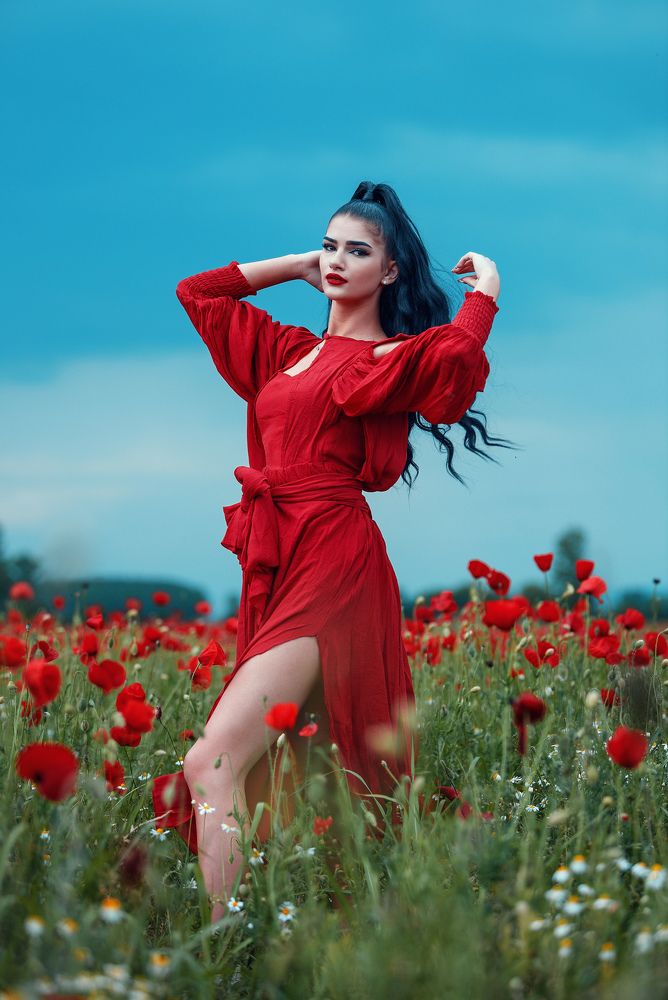 he Red Dress Chronicles: Fields of Desire.