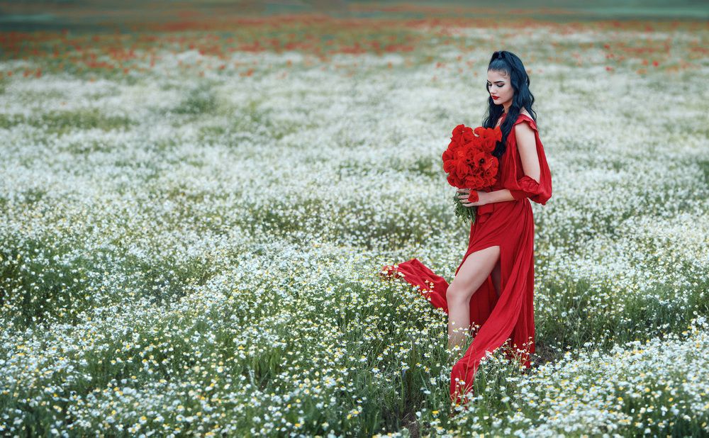 he Red Dress Chronicles: Fields of Desire.