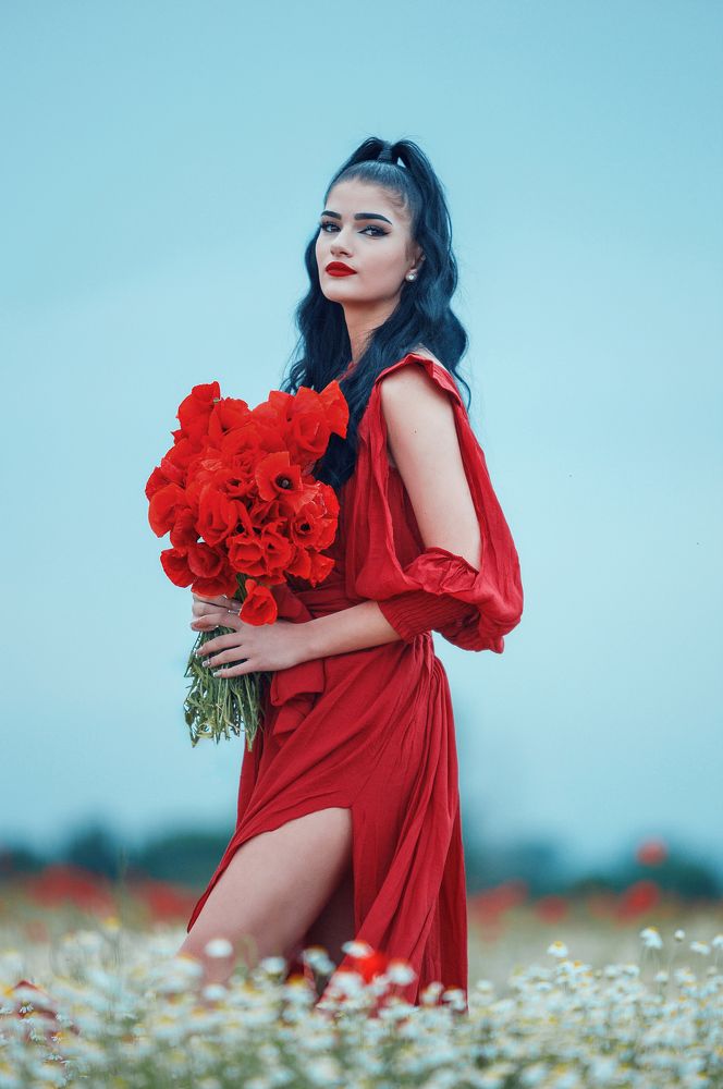 he Red Dress Chronicles: Fields of Desire.