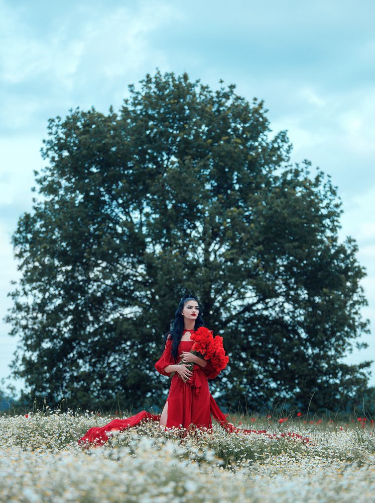 he Red Dress Chronicles: Fields of Desire.