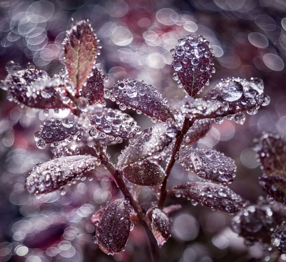 Photo 2425657