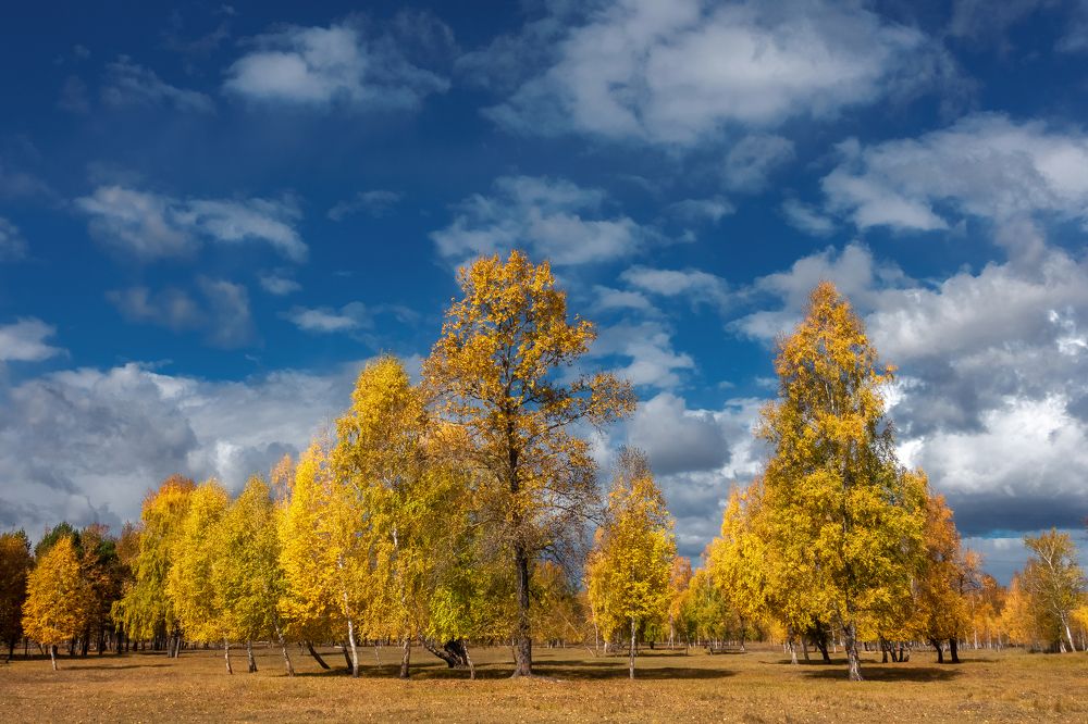 Осень на Иркуте