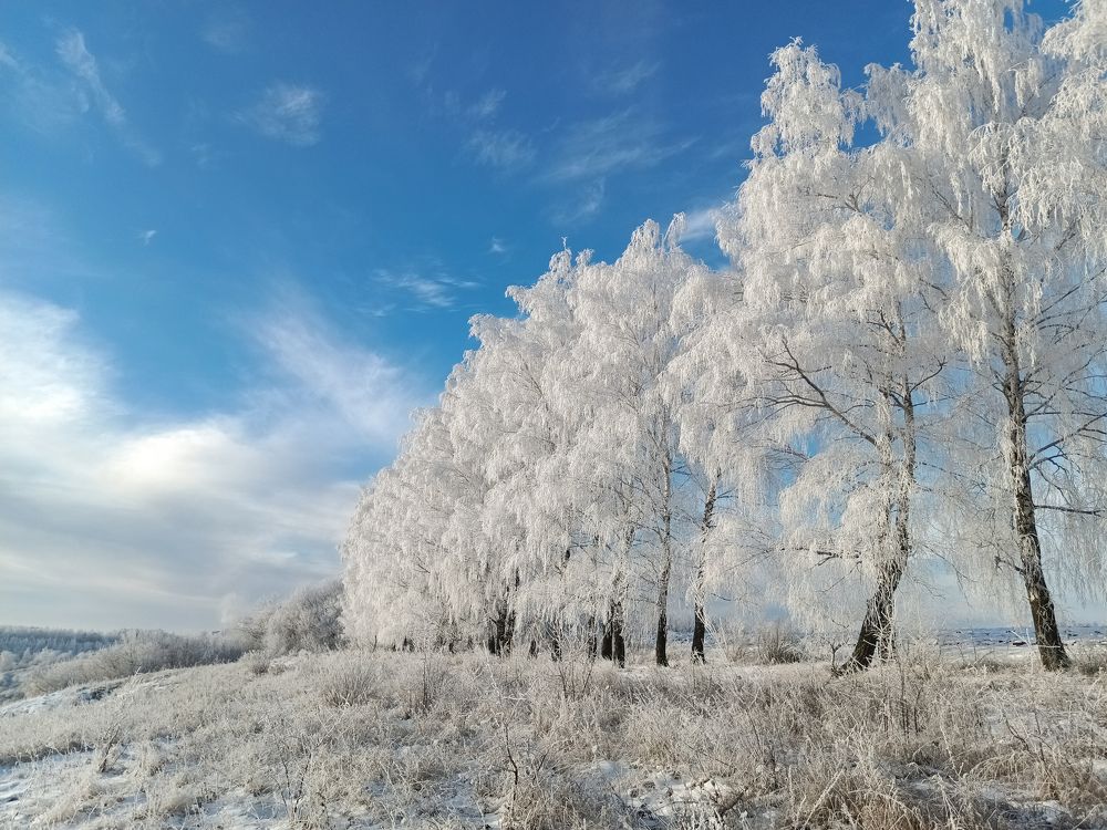Photo 2426048
