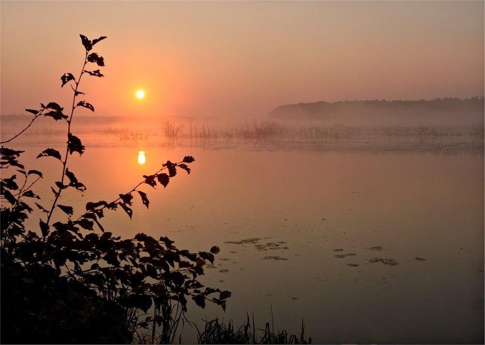 Упала капля