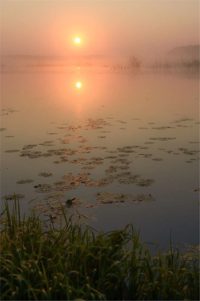 Упала капля