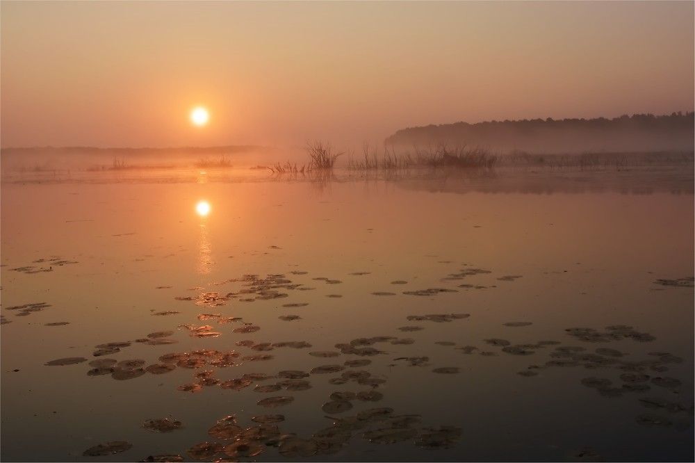 Упала капля