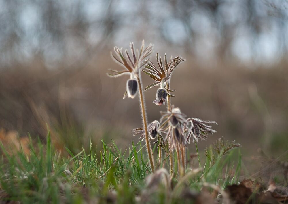 Photo 2429029