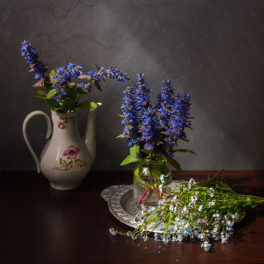 Photo 2429033