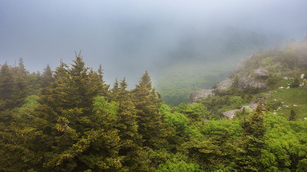 В горах Аппалачи