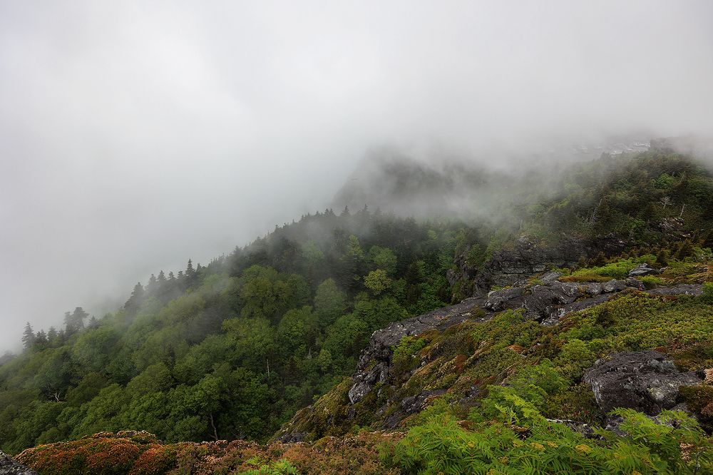 В горах Аппалачи