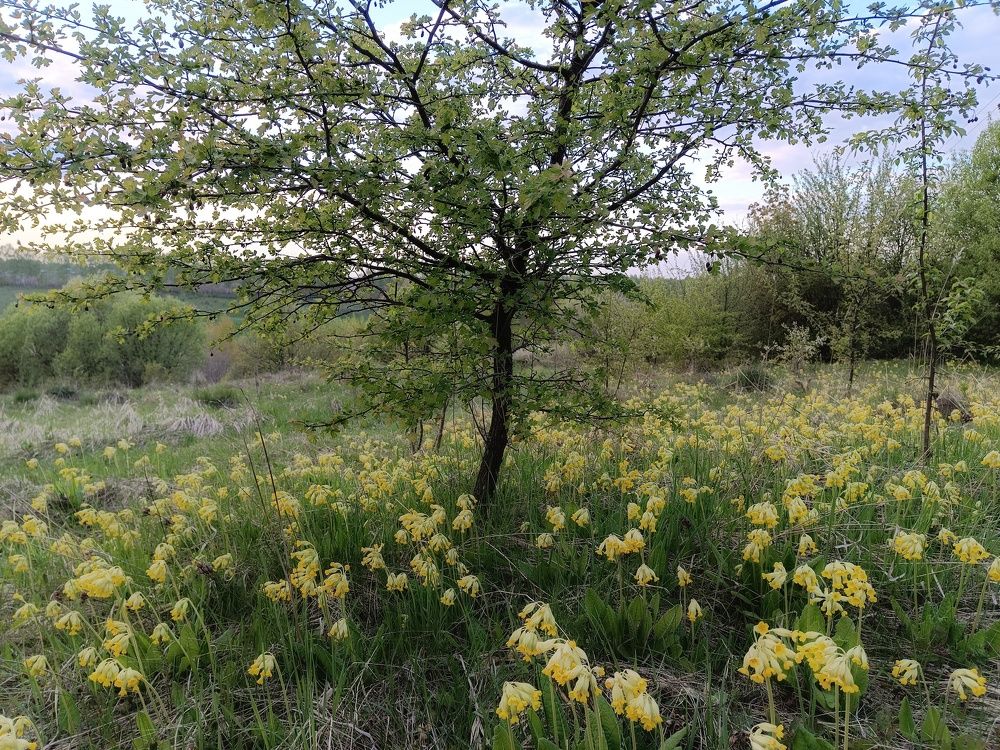 Photo 2429050