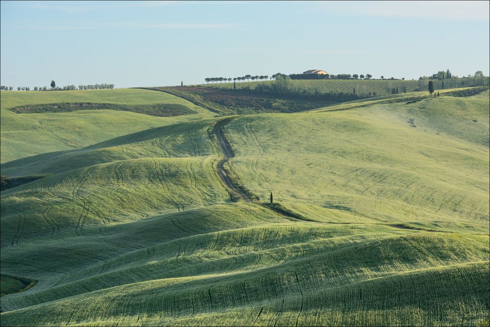 Утро на мягких холмах