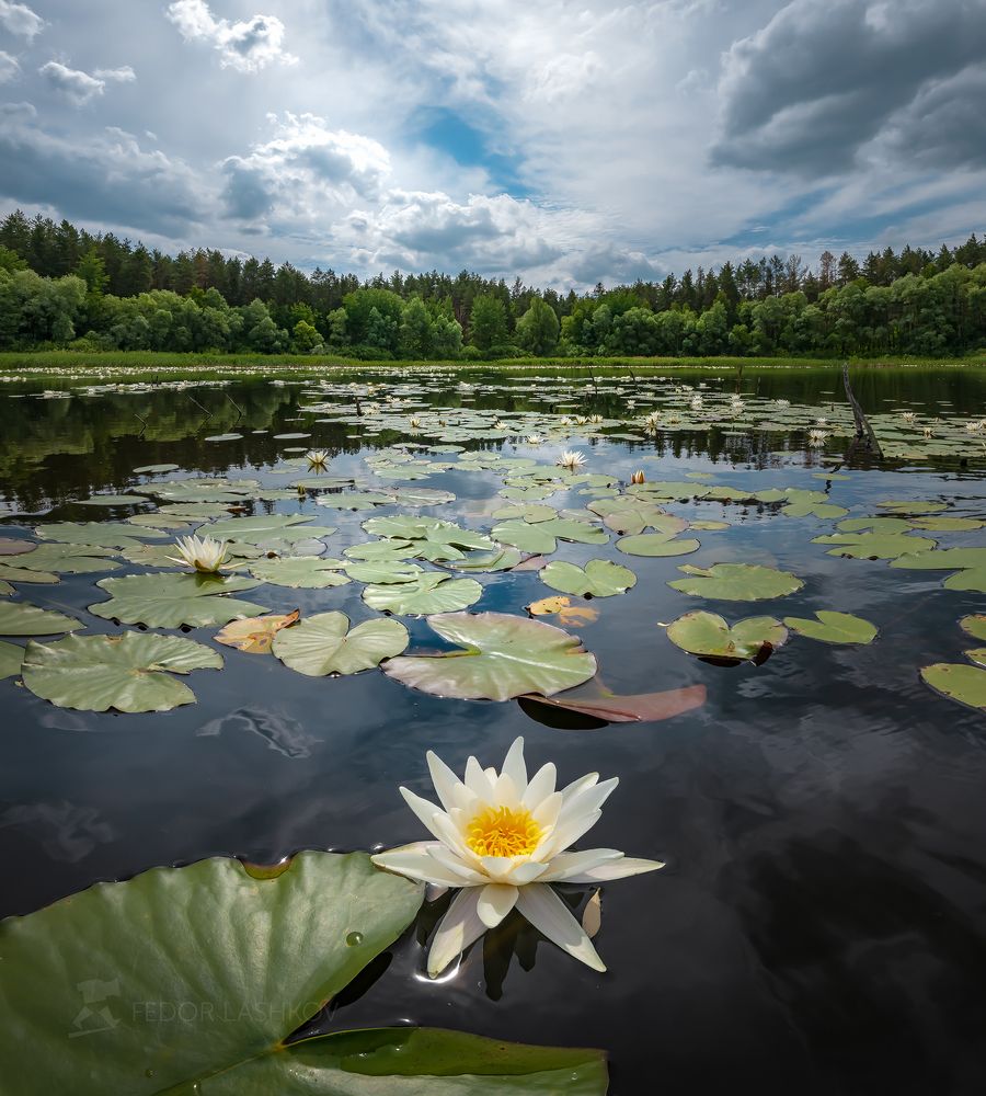 Царица озера