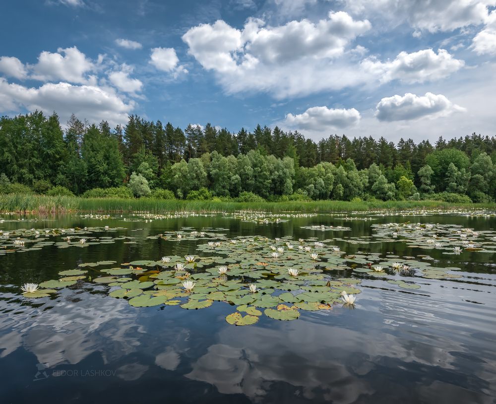 Царица озера