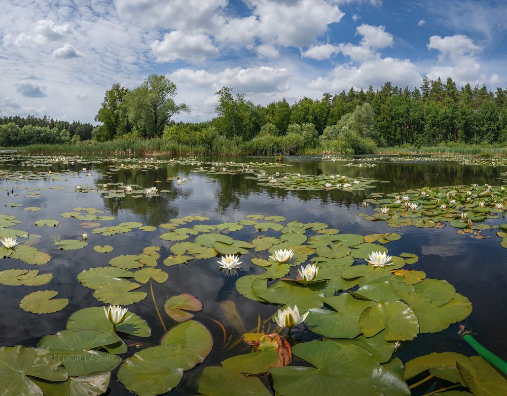 Царица озера