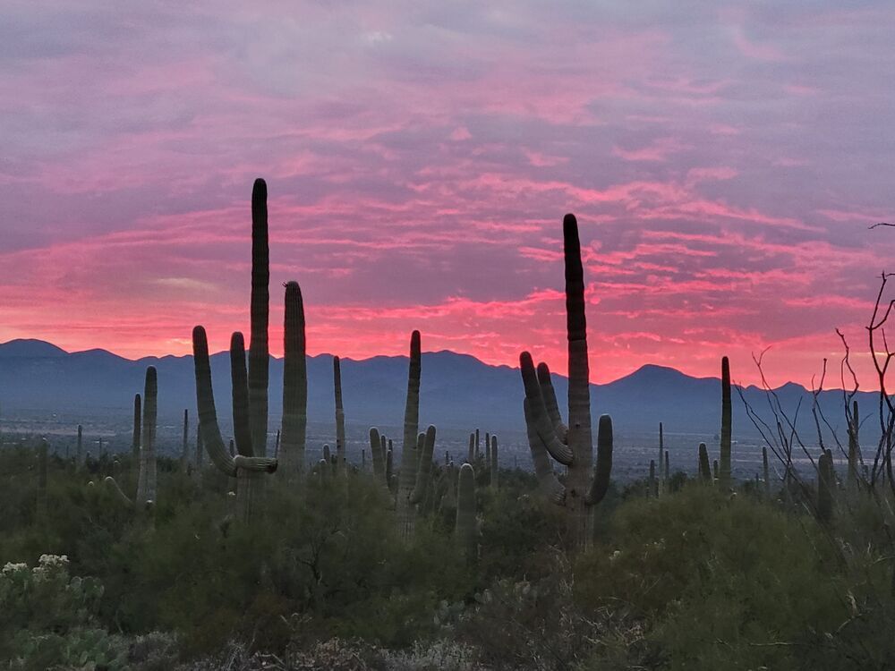 Beautiful Landscapes