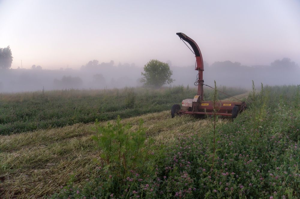Photo 2432426