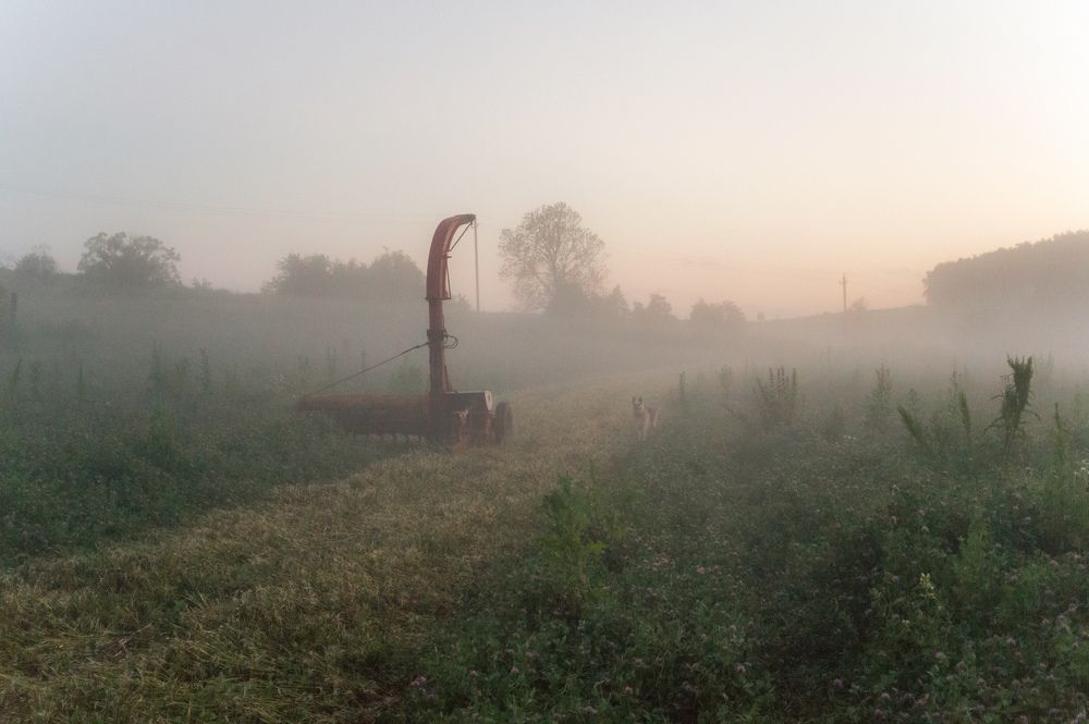 Photo 2432427