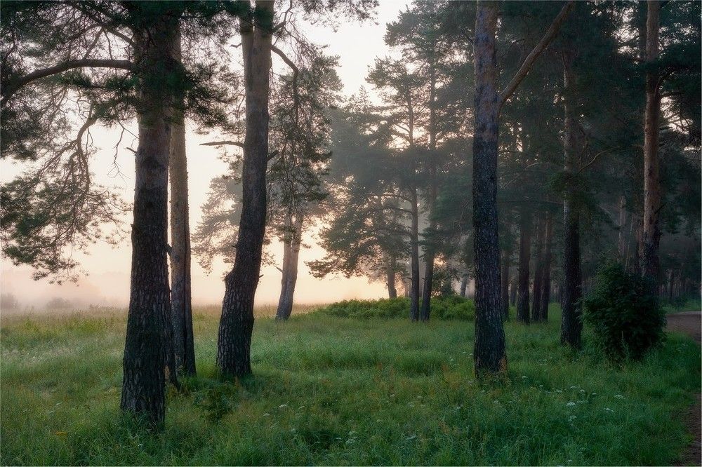 Утренняя прогулка по краю света
