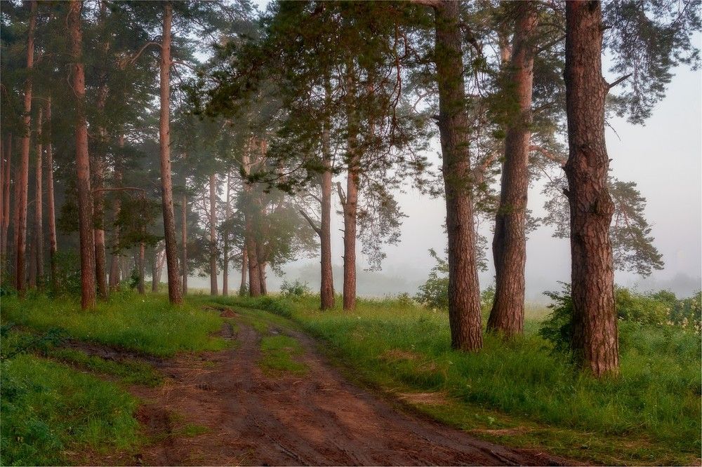 Утренняя прогулка по краю света