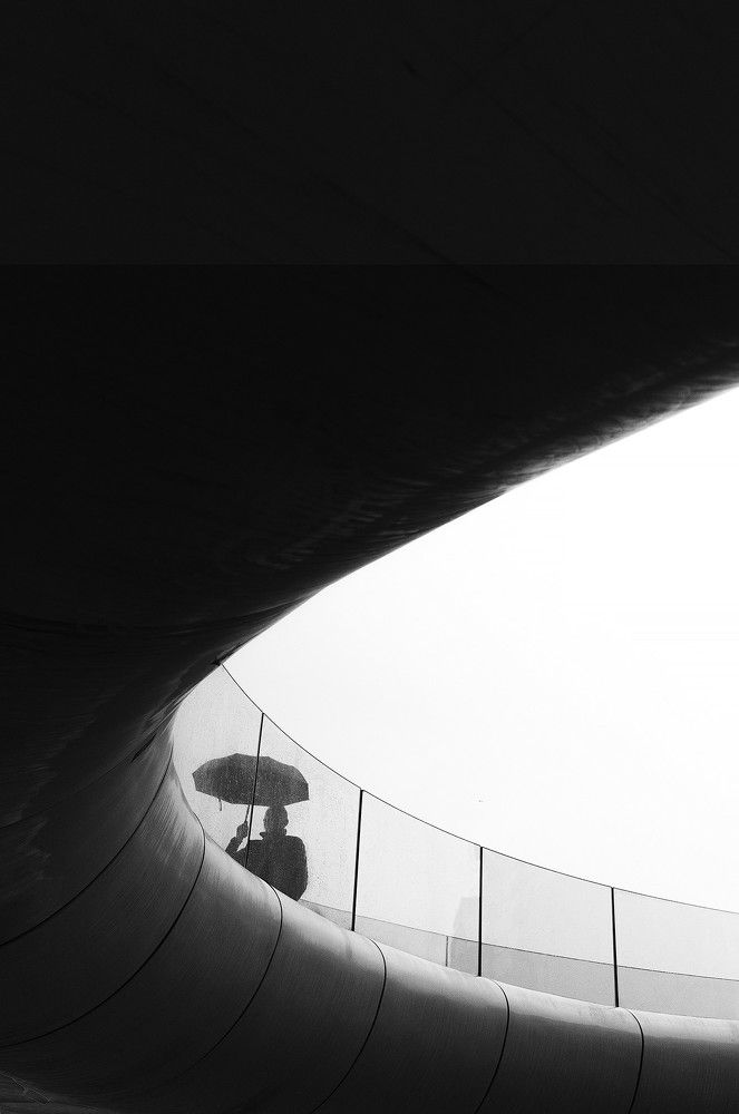 Photo 2433261