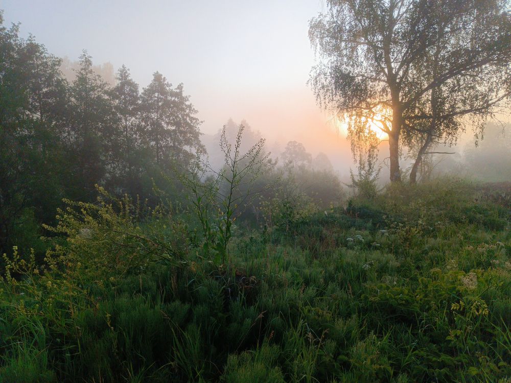 Photo 2433619